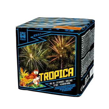 Argento Feuerwerk Silvester Batterie Feuerwerk "Tropica"